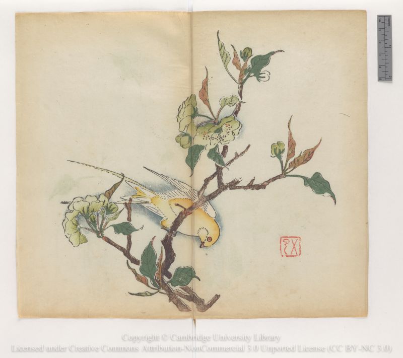 Inside the world's oldest multicolor printed book | CNN