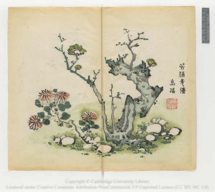 "Early plum blossoms with chrysanthemum and stones"