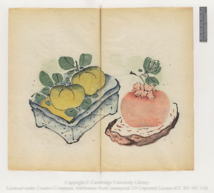 "Two tangerines in square bowl and persimmon on stand"