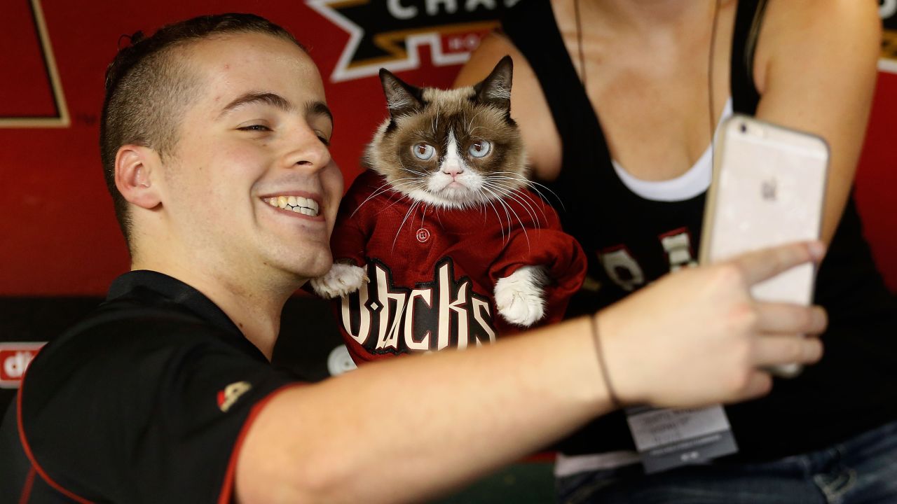 A fan takes a selfie with <a href="http://money.cnn.com/2015/04/14/technology/social/grumpy-cat-celebrity-money/" target="_blank">Internet sensation</a> Grumpy Cat before a Major League Baseball game in Phoenix on Monday, September 7.