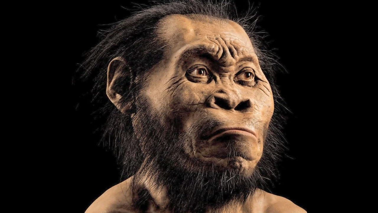  human ancestor species discovered south africa mckenzie pkg_00002221.jpg