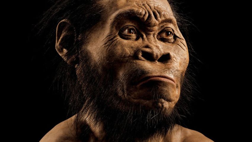 A reconstruction of Homo naledi's head by paleoartist John Gurche, who spent some 700 hours recreating the head from bone scans. The find was announced by the University of the Witwatersrand, the National Geographic Society and the South African National Research Foundation, and the image will appear in the October issue of National Geographic magazine.