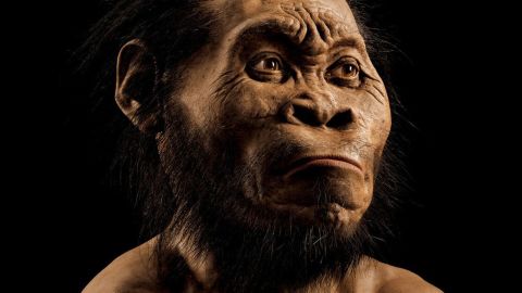 Scientists say they've discovered a new species of human relative in the Rising Star cave in the Cradle of Humankind world heritage site outside Johannesburg