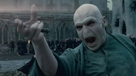 Voldemort, as portrayed by Ralph Fiennes in the Harry Potter movie series.