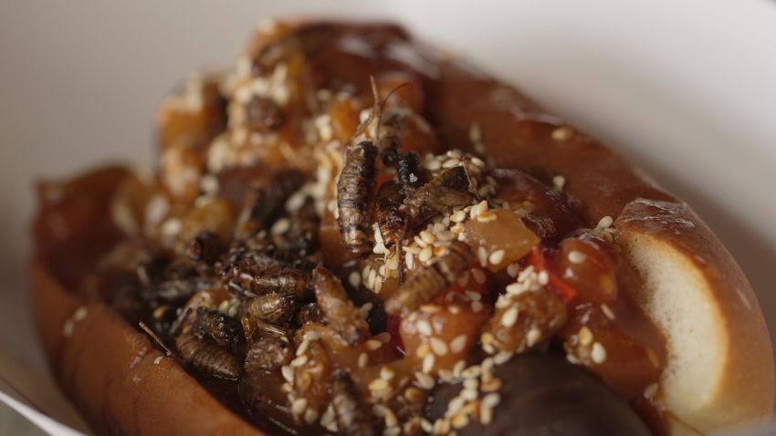 first edible cricket farm hot dog 01