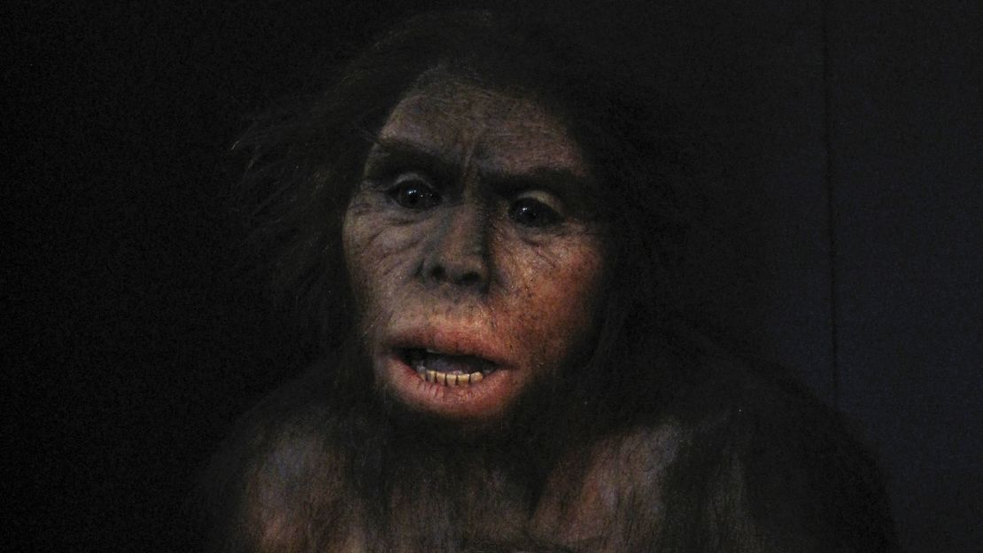 Australopithecus who? Homo naledi is related to me? | CNN