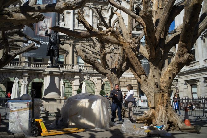 The trees, he told CNN's Christiane Amanpour, are "very old. Could be hundreds or even thousands years old."