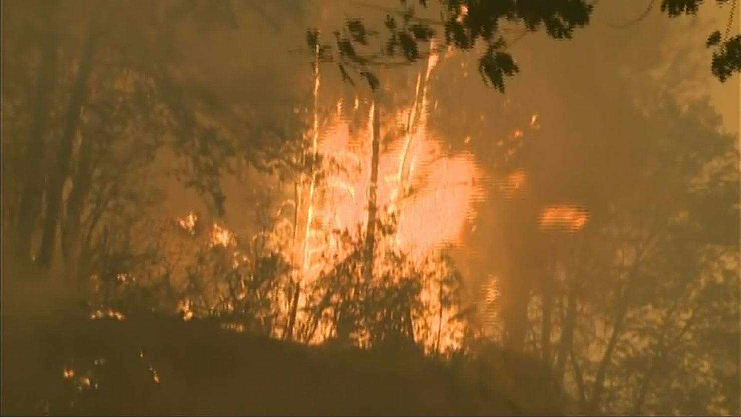 The Butte Fire has burned down dozens of homes and outbuildings