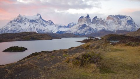 Torres Del Paine is home to more than 50 pumas.