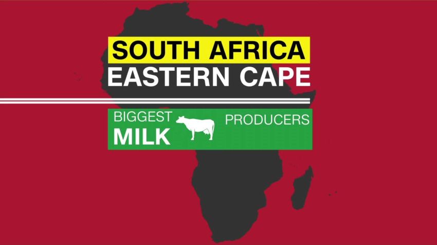 spc africa view milk_00001815.jpg
