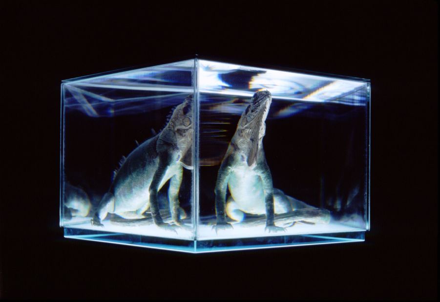 "The PRISM works are part of the PixCell series, where I turn motifs collected from the Internet into sculptures. Covering a transparent box (cell) containing a motif with prism sheets produces the alternating appearance and disappearance of images from perspectives that differ as the viewer's actual viewpoint changes."