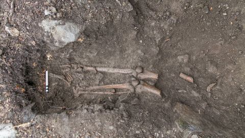 Lower leg bones were in the grave, but the upper body was tangled up in roots.