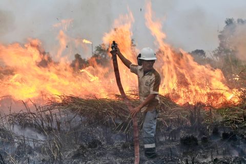  A fireman works to contain the flames on a field in Ogan Ilir, South Sumatra, Indonesia on September 12, 2015.
