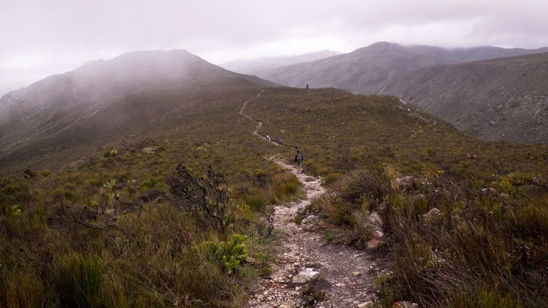 The first stretch of the trail descends from Potberg Mountain and meanders through the fynbos plains of De Hoop Nature Reserve. De Hoop encompasses 84,000 acres of coastal and mountain reserve offering whale-watching, hiking trails and rich wildlife. 