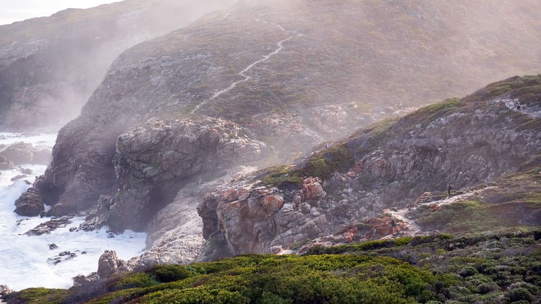 A hiker stands on the epic path towards Hamerkop watching the whales breach in the ocean. The callused markings on the whales' heads are used to track them, as each one is as unique as a fingerprint. 