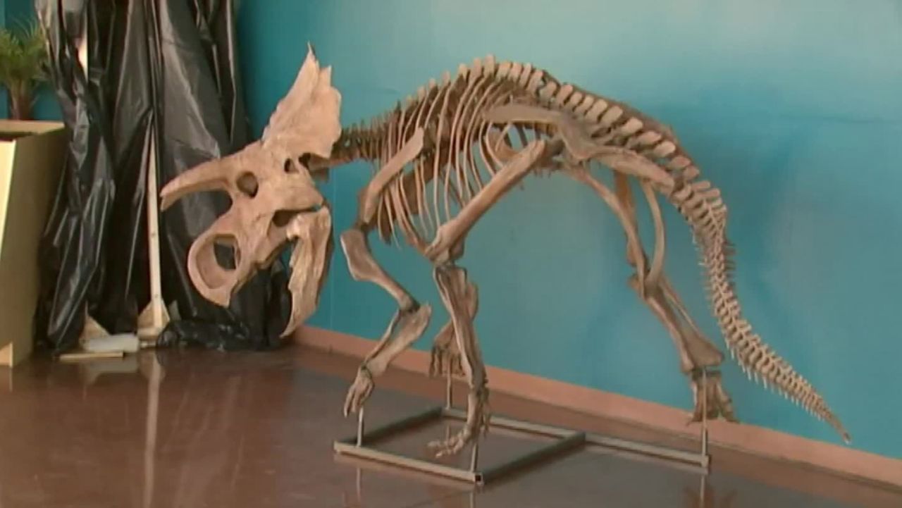 colorado new dinosaur species unveiled pkg_00013422.jpg