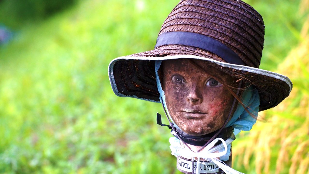 japan scarecrow 5