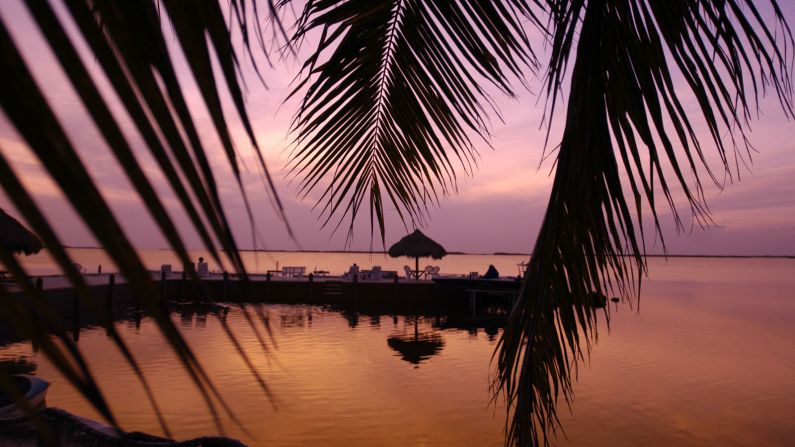 The 182-kilometer Overseas Highway is a gateway to secluded islands, historic shipwrecks and, at Key Largo (pictured), one of the world's best diving spots. 