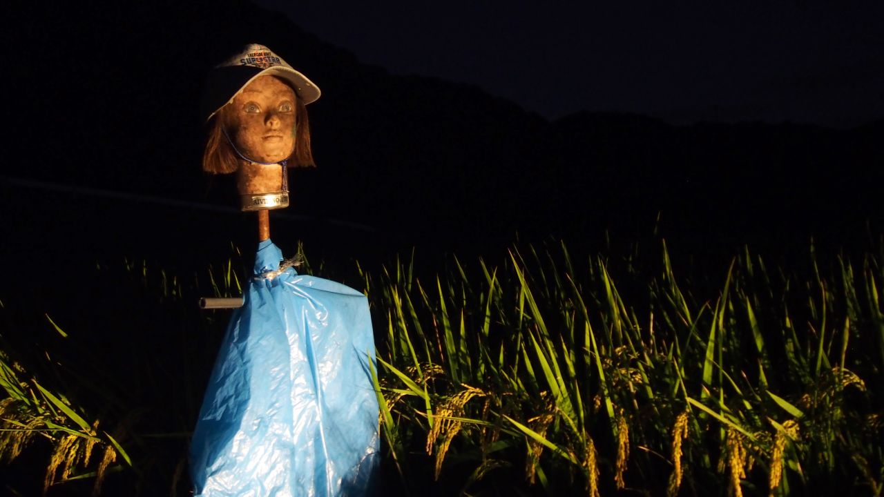 Mannequin scarecrows: Extra freaky at night.