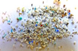 microbeads