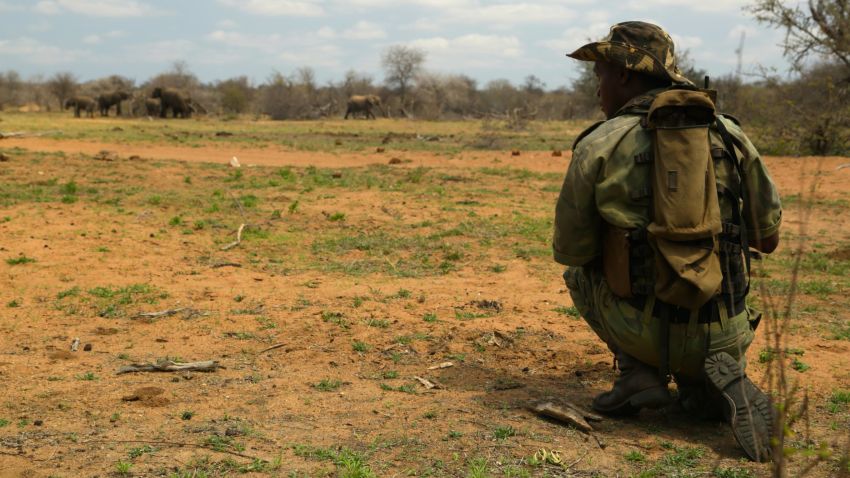 An anti-poaching ranger patrols in a private wildlife reserve near Kruger National Park in South Africa in September 2015.