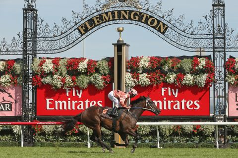 A more recent Australian success story is Black Caviar, who retired from flat racing after her 25th consecutive victory in 2013.