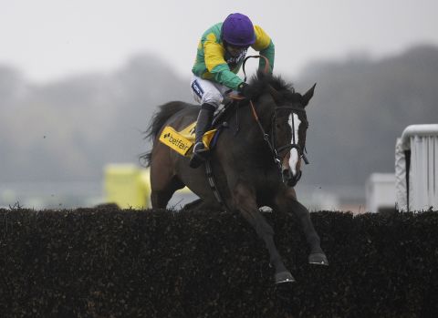 When French thoroughbred Kauto Star died earlier this year after a fall in his paddock, his former trainer Paul Nicholls said the horse "had touched lots of hearts" as well as winning $6 million in prize money in an illustrious career.