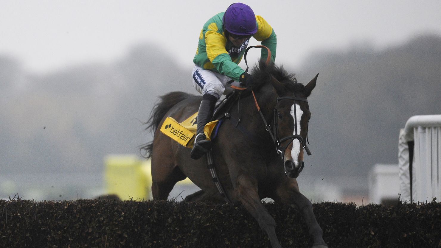 Kauto Star triggered a £1 million bonus after winning three Grade 1 races during the 2006-07 season.