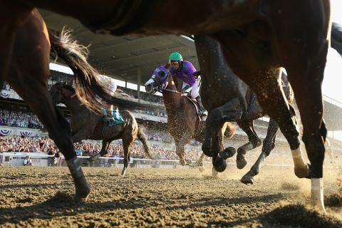 In the United States, California Chrome (with jockey in purple silks) earned itself a cult following despite coming up just short in its bid for the Triple Crown last year.