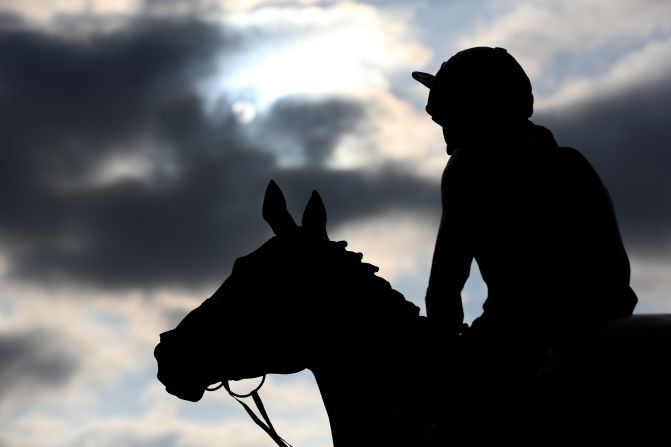 Dawn Run was the most successful race mare in National Hunt history, capped with victory at the Cheltenham Gold Cup. When she broke her neck racing, it made front page news and a statue (above) was erected in her memory at Cheltenham.