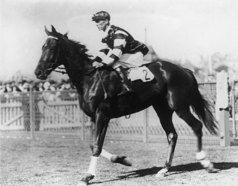 Phar Lap remains a national icon in Australia and New Zealand -- his heart is still on show in an Australian museum. He had a film made about him and a song penned after his illustrious career.