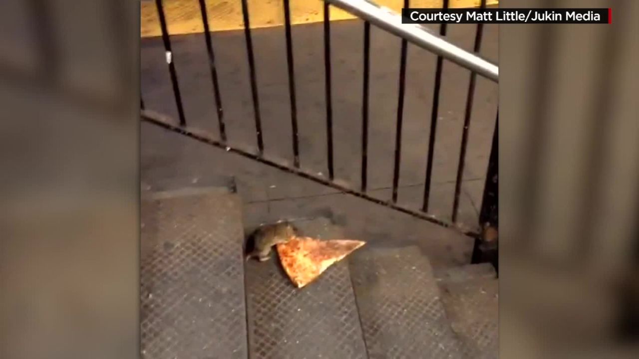 A hungry varmint nicknamed Pizza Rat captivated our hearts this summer with his determination to make off with a slice bigger than himself. It's one of those meme-worthy moments that makes for a great Halloween costume idea. Wear your best gray sweatsuit, slap on a rat nose from Party City and swipe a slice of pie from the party table, perhaps carrying it in your new <a href="http://time.com/4056307/portable-pizza-pouch/" target="_blank" target="_blank">portable pizza pouch</a>. Voila!