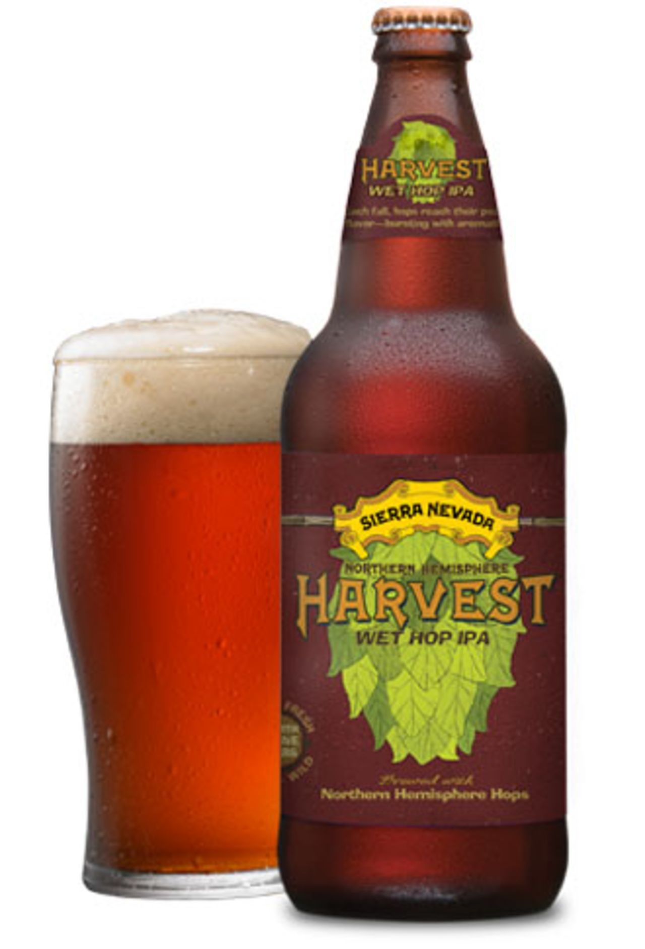 <strong>Sierra Nevada</strong> also brews an acclaimed <strong>Harvest Wet Hop IPA</strong>. The brewer claims that using wet hops "preserves all of the (hops') precious oils and resins for a unique drinking experience."
