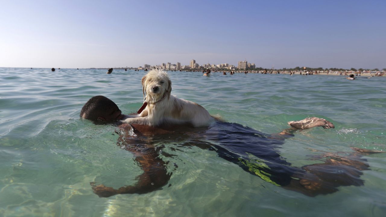 A dog rides on the back of a man swimming in Tyre, Lebanon, on Sunday, September 20.