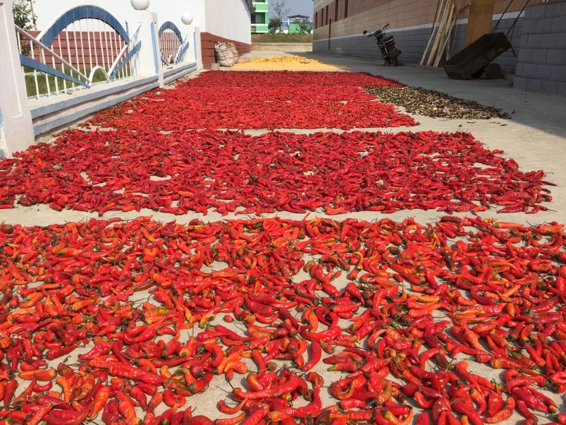 Chili peppers lie in the sun at the Jang Chon farm. Peppers are used for making kimchi, the fermented cabbage dish that is a staple of the North Korean diet.