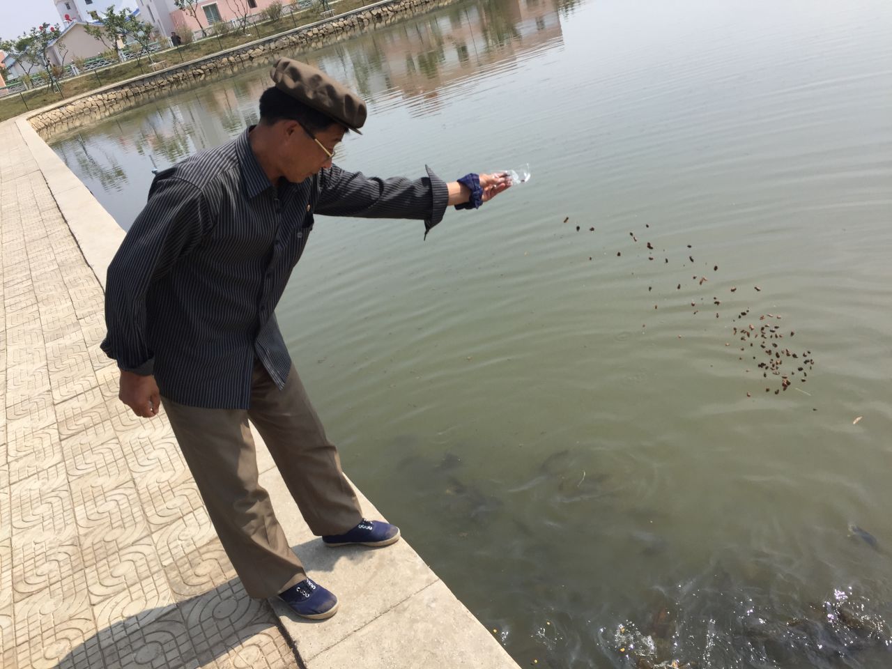A man feeds a fishing pond stocked with thousands of fish -- one of many newly built amenities for farming families at the Jang Chon cooperative farm. Jang Chon is leaps and bounds ahead of the majority of North Korean farms.