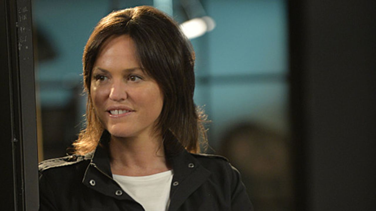 Before "CSI," Jorja Fox was on "ER" and "The West Wing."  As scientist Sara Sidle on "CSI," Fox was a regular for the first eight seasons and the last four, also appearing on three others as a guest. 