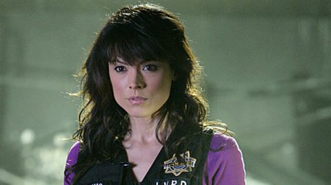 Liz Vassey played a DNA specialist, Wendy Simms, during the middle seasons of "CSI's" run. She was a regular in season 10. Vassey has had guest roles on "Two and a Half Men," "Castle" and "Necessary Roughness."