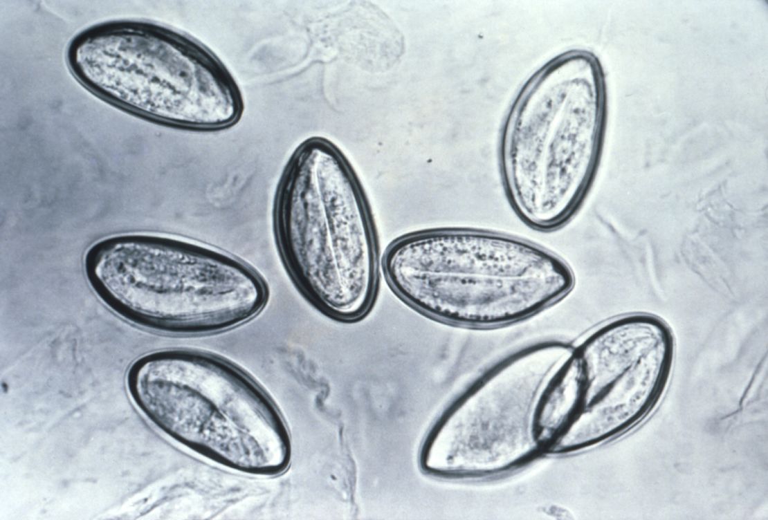 Pinworm infections occur when people swallow the worm eggs. 