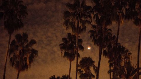 The eclipse as seen from Los Angeles.