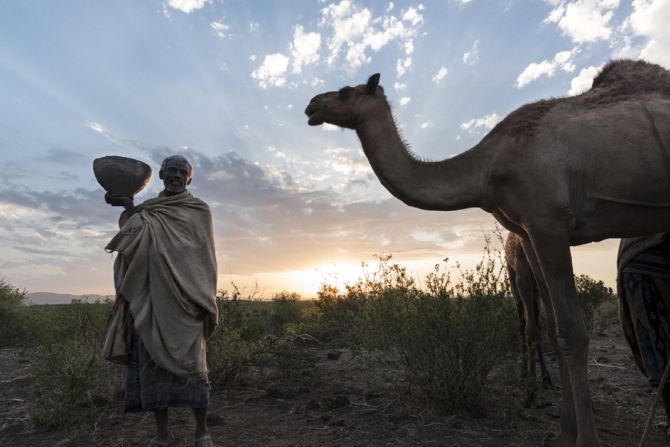 The nomadic herdsmen of Ethiopia's Fantalle region have a life devoted to the care of their camel livestock. Some Somalis buy the milk and resell it for sweet tea, whilst the Karrayyu herders also sell to <a href="index.php?page=&url=http%3A%2F%2Felliltaproducts.com%2F" target="_blank" target="_blank">Elilta Women</a>, an all-female association of artisans that turn the milk into <a href="index.php?page=&url=https%3A%2F%2Fwww.facebook.com%2FElliltaProducts%2Fposts%2F1009594175733631" target="_blank" target="_blank">lavender-infused soap</a>. (Image courtesy of <a href="index.php?page=&url=http%3A%2F%2Fwww.slowfood.com%2F" target="_blank" target="_blank">Slow Food</a>)
