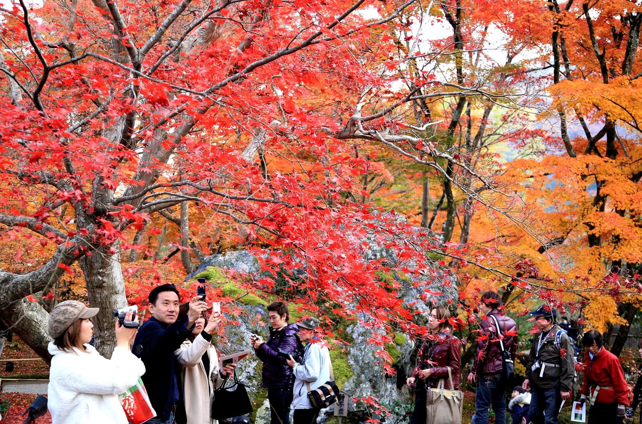 Autumn leaves are beloved throughout Japan, but people come from across the country to view them at sites such as Kyoto's Hogonin Temple. 