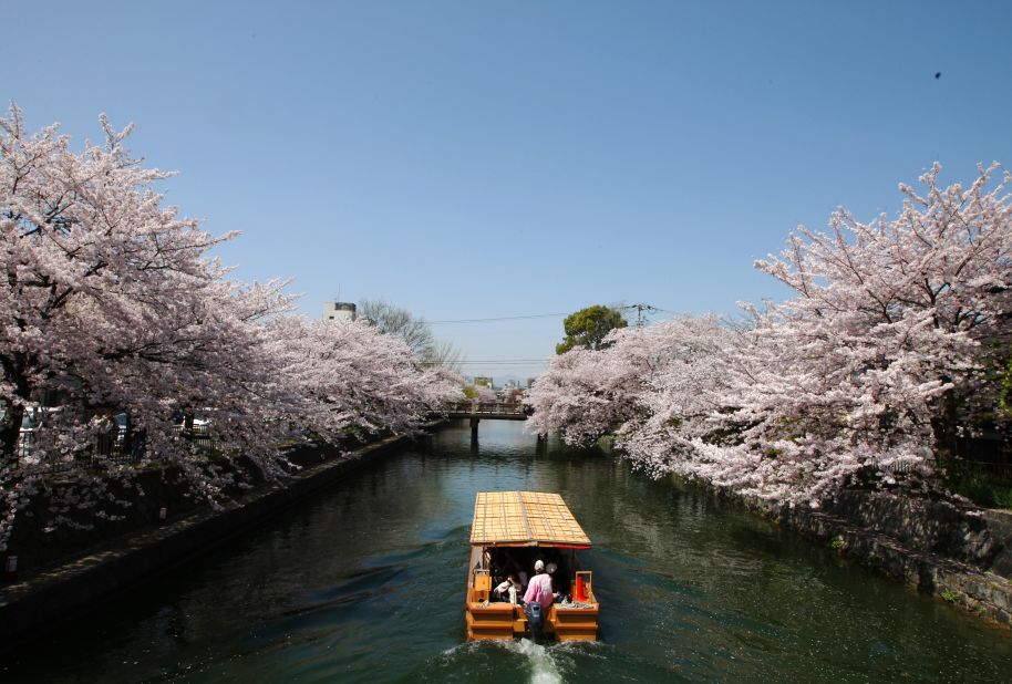 <strong>Cherry blossom season in Kyoto, Japan: </strong>When the cherry blossoms come out along Kyoto's Okazaki Canal in early April, the water reflects the pink blooms and it's like passing through a glorious floral tunnel. 