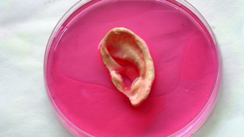 NextImg:Building human body parts | CNN Business