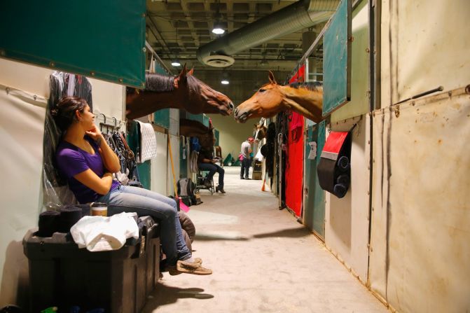 The job of making the horses feel at home falls to Filip Vande Cappelle, logistics manager for European Horse Services.<br /><br />"To make the stables, we start off with a parking lot outside the convention center and end up with five-star stable accommodation. We start on Tuesday and by Friday everything is ready."