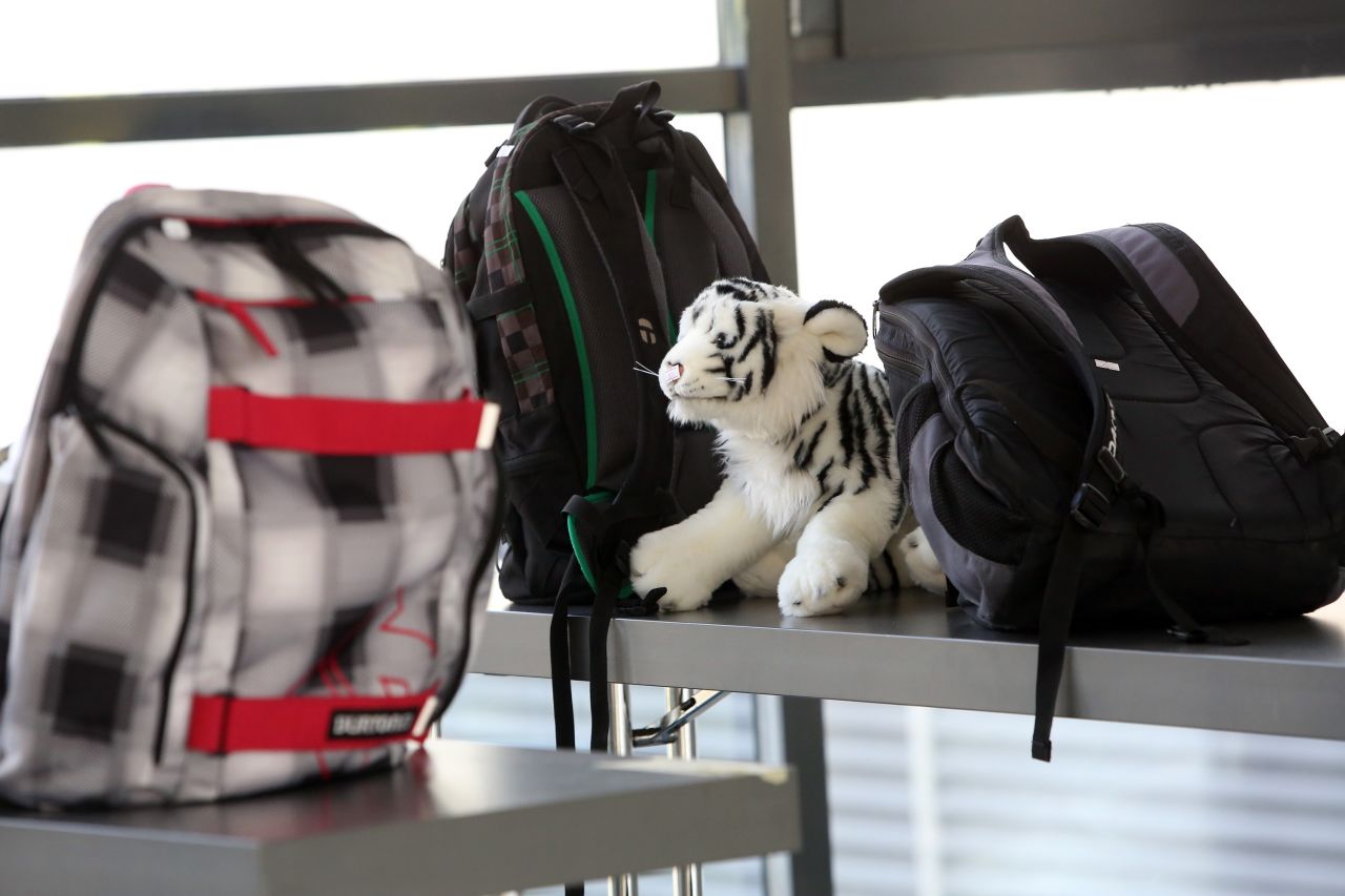 <strong>Escaping extra baggage charges: </strong>The stuffed cat tipped the scales, but you're off the hook. The counter agent smiled and looked the other way. 