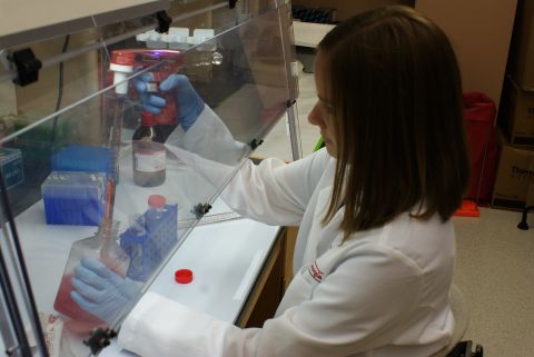 A graduate student works at the University of Georgia's Regenerative Bioscience Center.