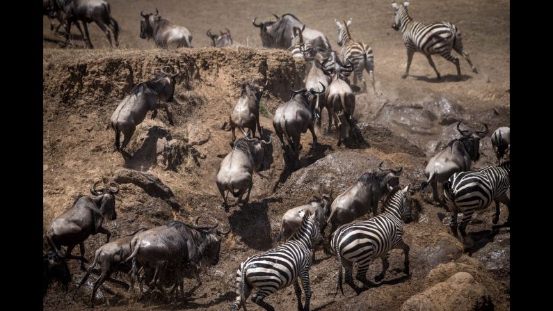 Concerns about security following extremist attacks in recent years have impacted on Kenya's tourism industry. Visitor numbers have dropped by nearly a quarter since the beginning of 2015.