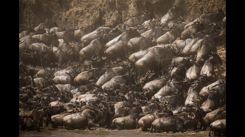 So far, the live web broadcasts have attracted around 200 people a time. "We just turned on our account and we had 175 people join us for that safari experience," says tourism expert Andre Van Kets . There's definitely not room for 175 people in this vehicle so, I think that was a success."