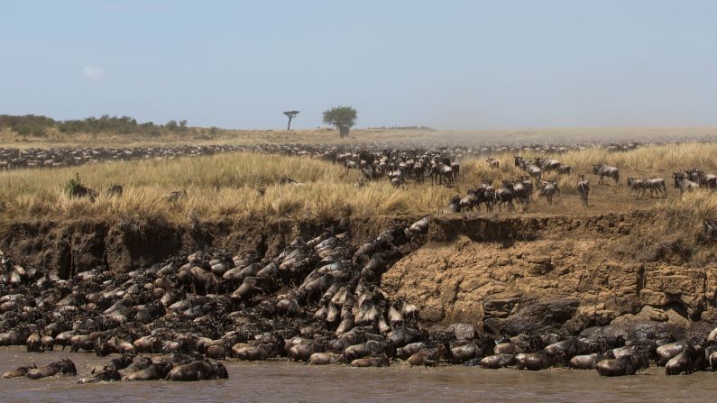 Some say the decline in tourism numbers puts the animals at risk. The presence of safari tours help deter poachers and land encroachment, according to guide Carel Verhoef.